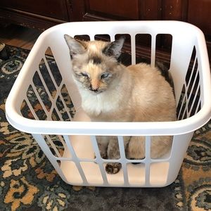 Meet your Posher, Norma